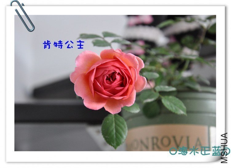 ���ع���4 of �������� .jpg