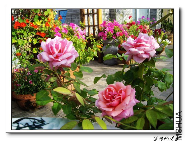 ���޹�3 of ��������� .jpg