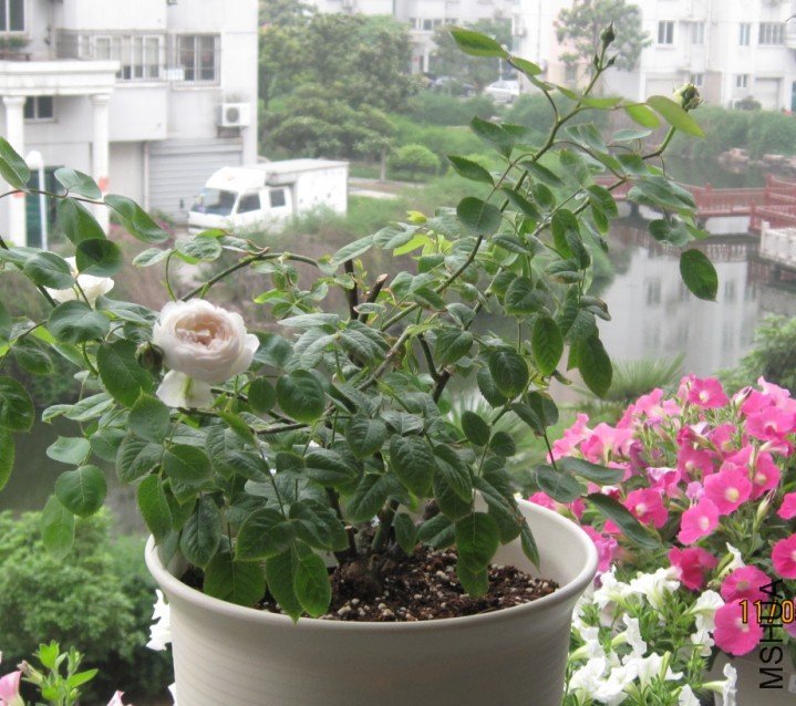 ����˹�ش����3 of happyye .jpg