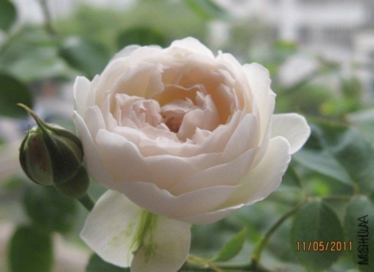 ����˹�ش����4 of happyye .jpg