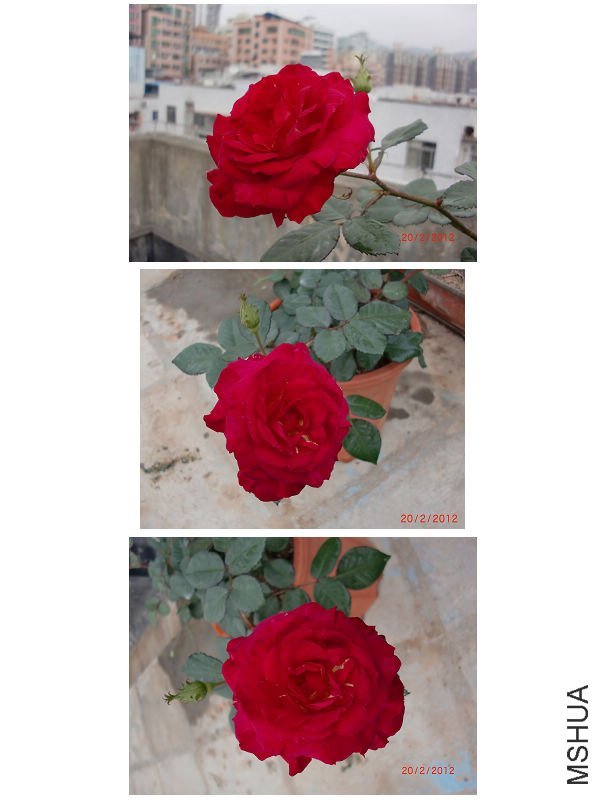 ��ɫ����3 of ���ƴ��� .jpg