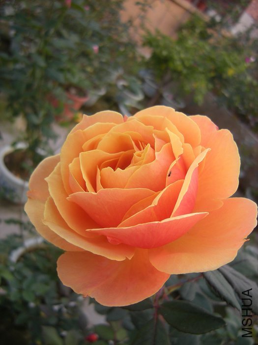 ����3 of һ����Ѯ.jpg