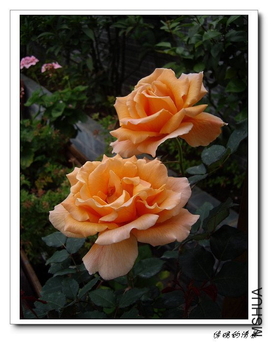 ������3 of ���������  .jpg