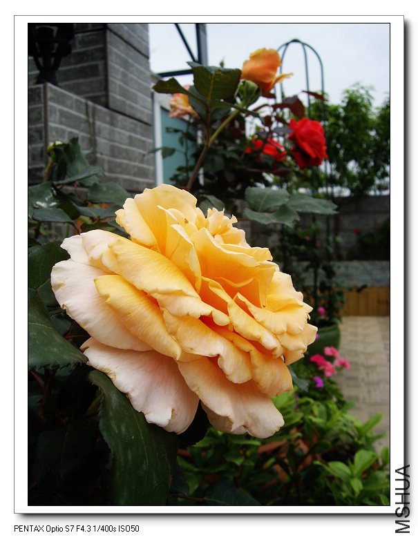 ������5 of ���������  .jpg