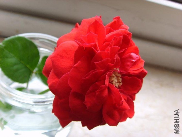 �軨Ů5 of feilanduo  .jpg