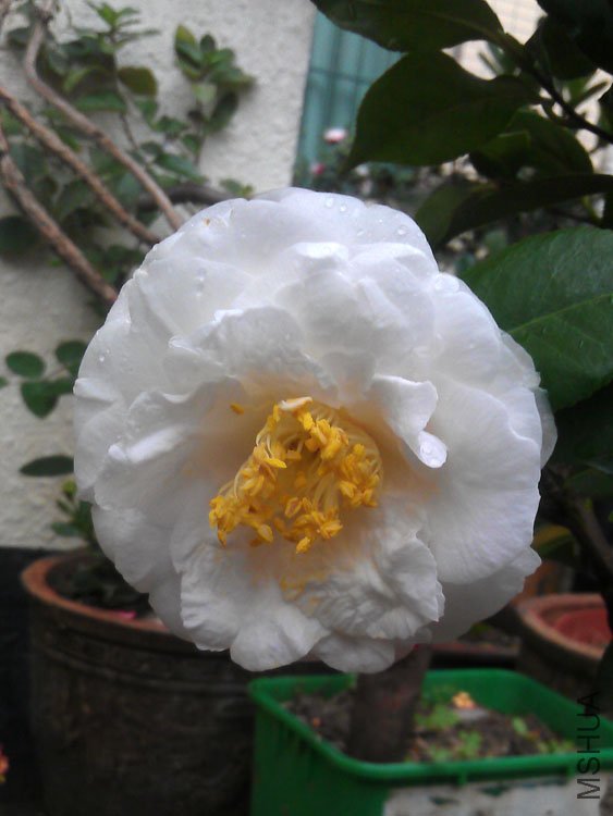 IMAG0545.jpg