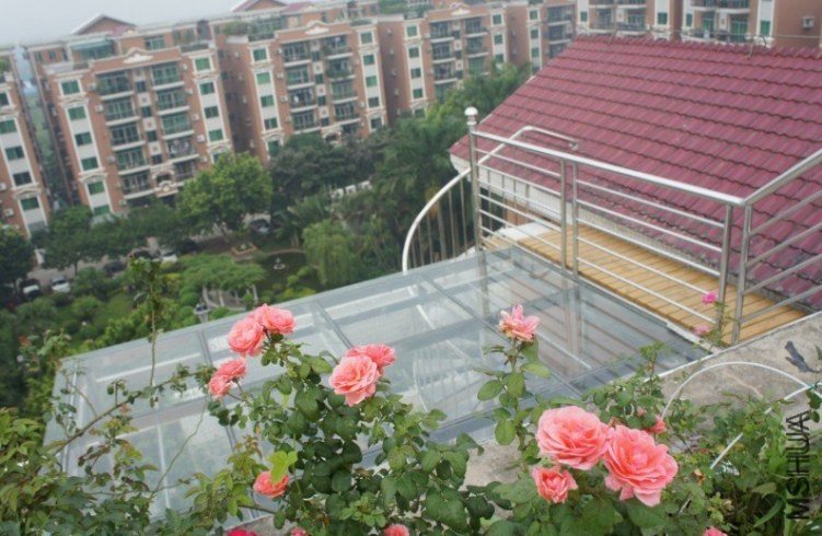 ������ŵ ��Inclus��1 of saka .jpg