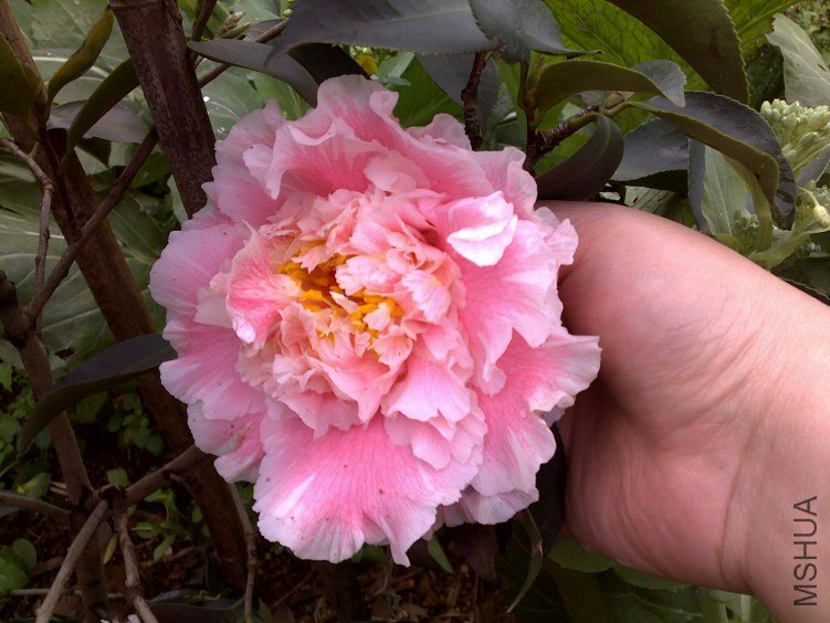 20120225173.jpg