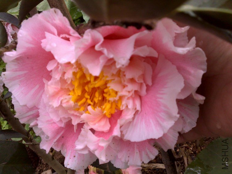 20120225174.jpg
