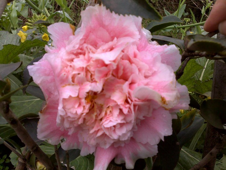 20120225175.jpg