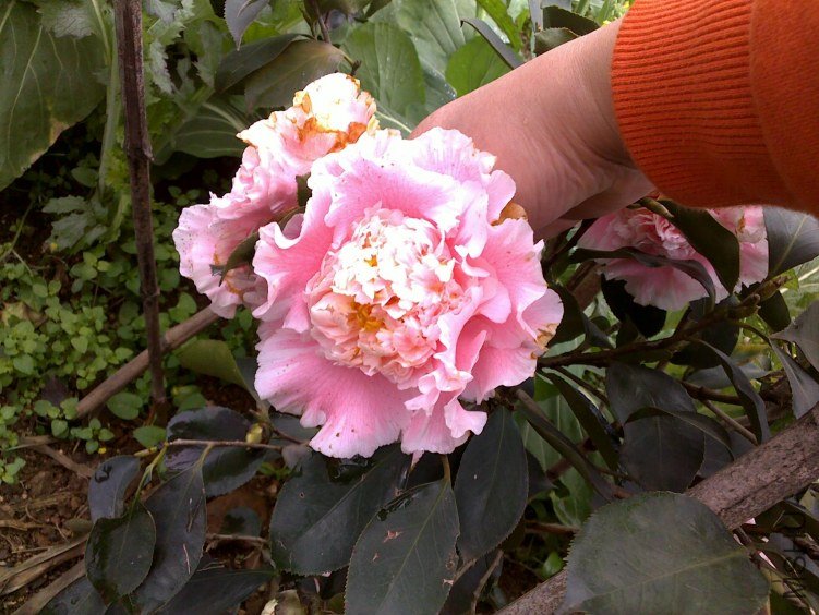 20120225187.jpg