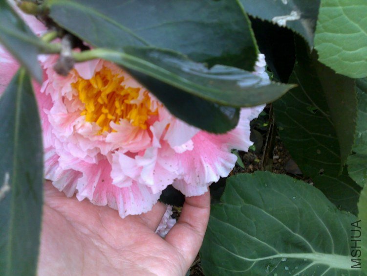 20120225182.jpg