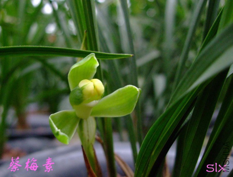 ��Ƭ2012-2-26f 03211.jpg
