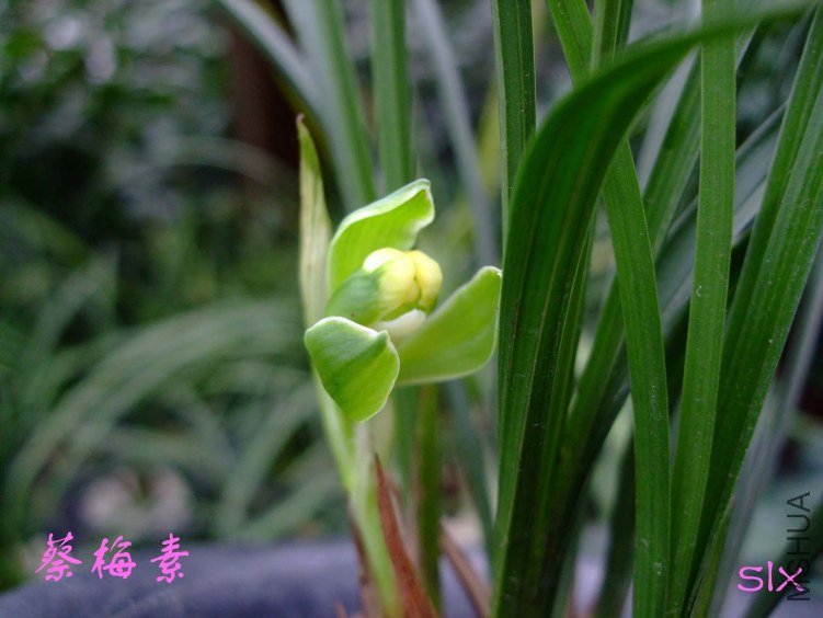��Ƭ2012-2-26f 00611.jpg