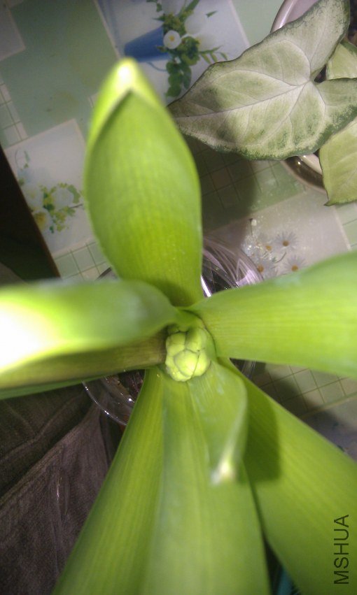 ������120226A.jpg
