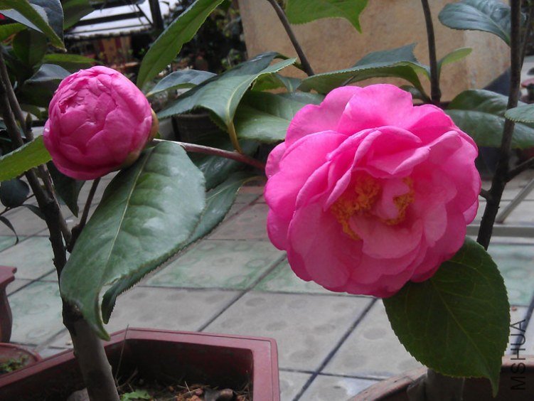 IMAG0574.jpg