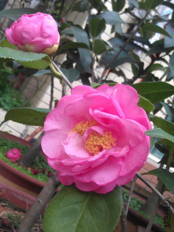 IMAG0564.jpg