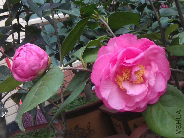IMAG0561.jpg