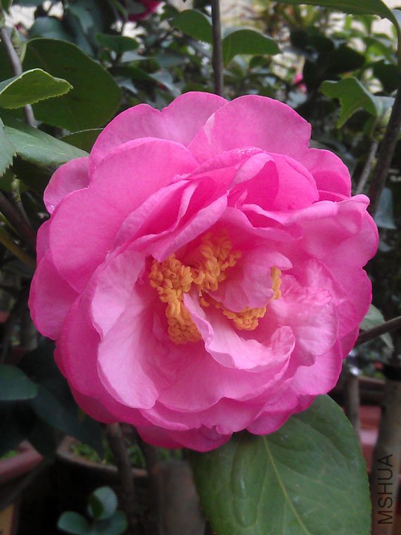 IMAG0562.jpg