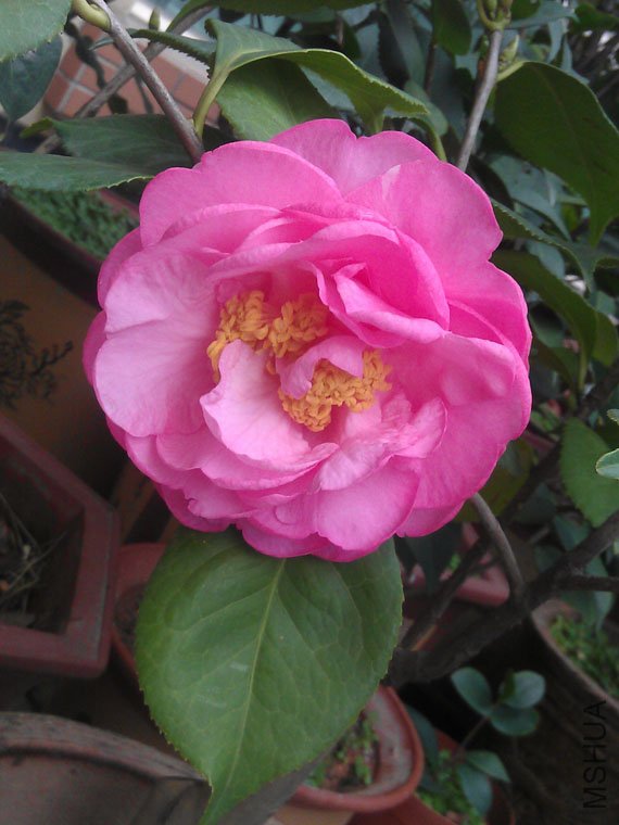 IMAG0560.jpg