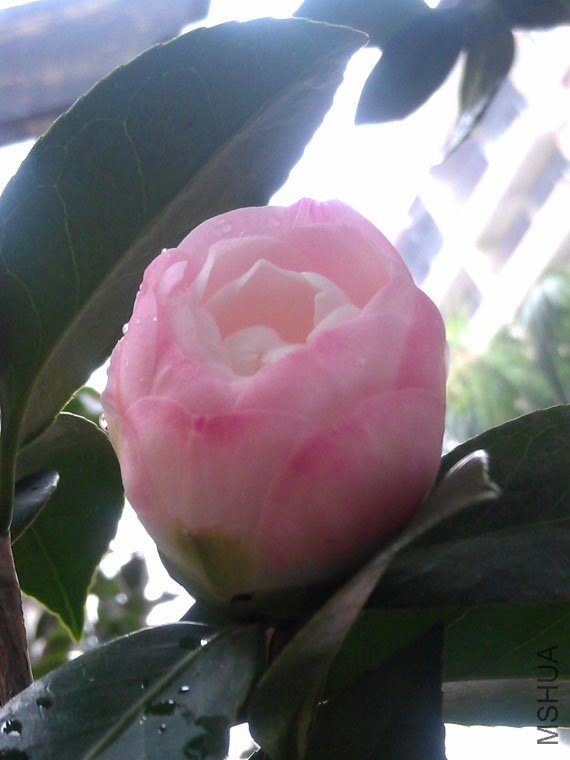 IMAG0555.jpg