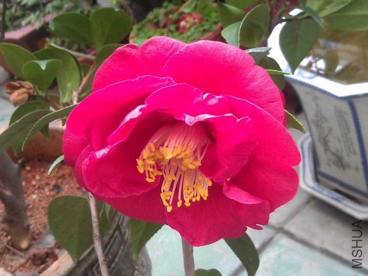 IMAG0567.jpg
