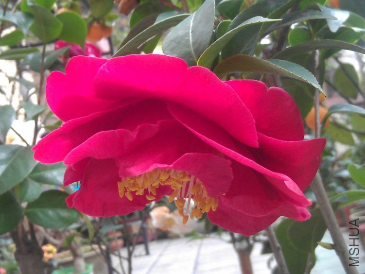 IMAG0568.jpg