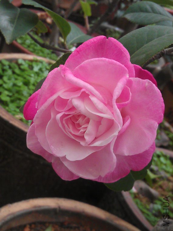 IMAG0578.jpg