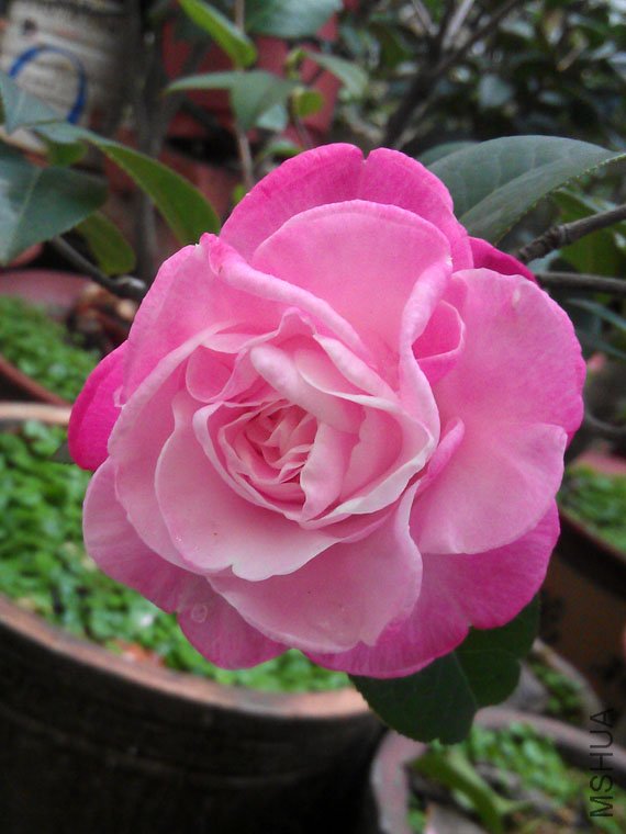 IMAG0579.jpg