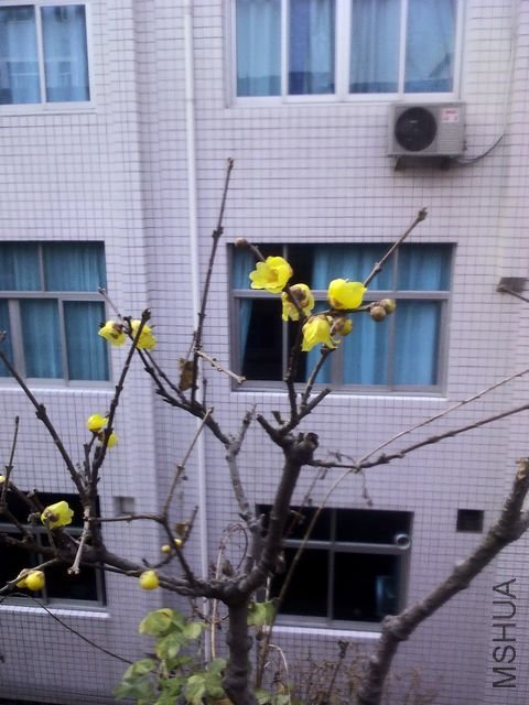 YP20120218090359.jpg