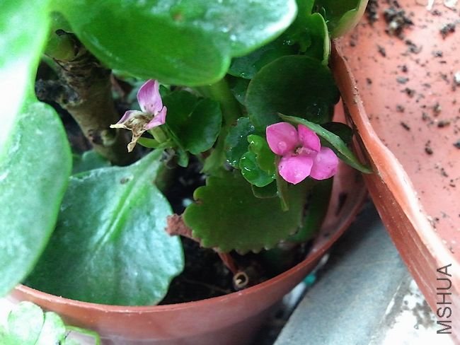 2011-06-18 09.43.54.jpg