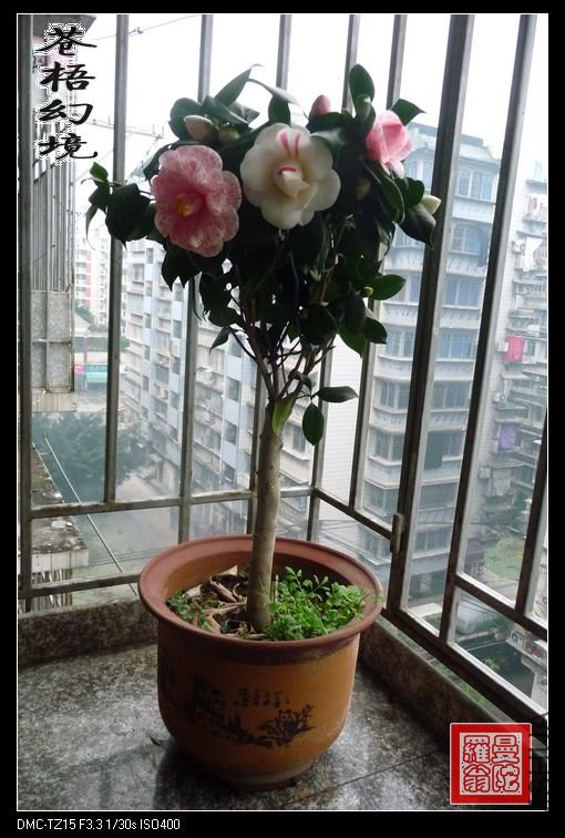 ����þ�009.jpg
