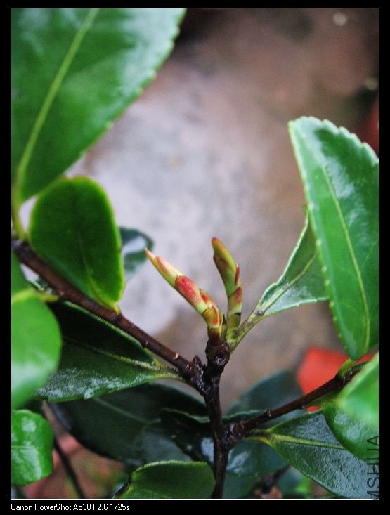 nEO_IMG_��ת ��Ƭ 021.jpg