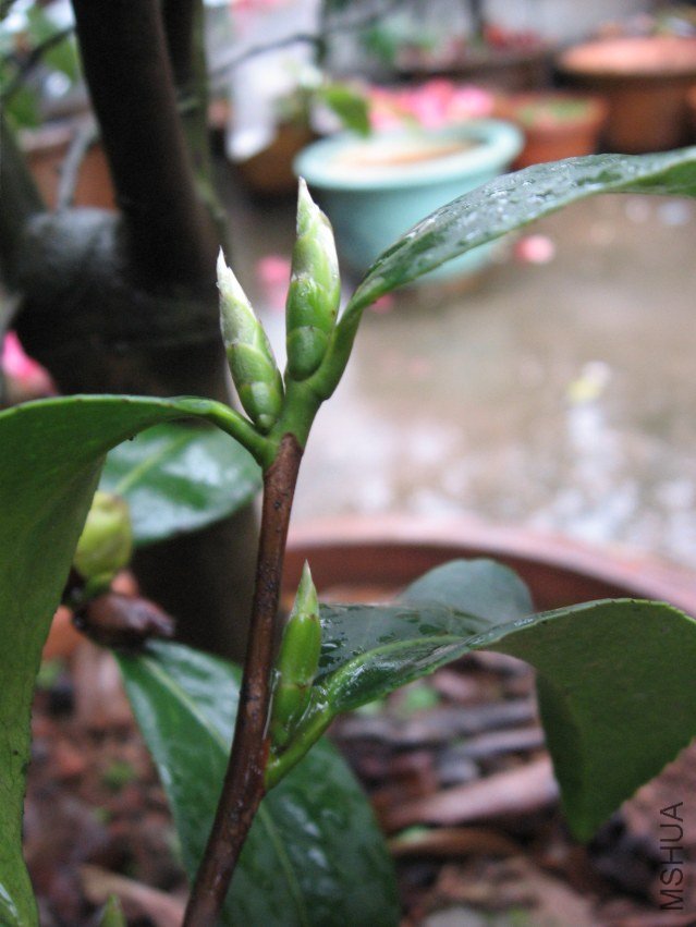 ��ת ��Ƭ 016.jpg