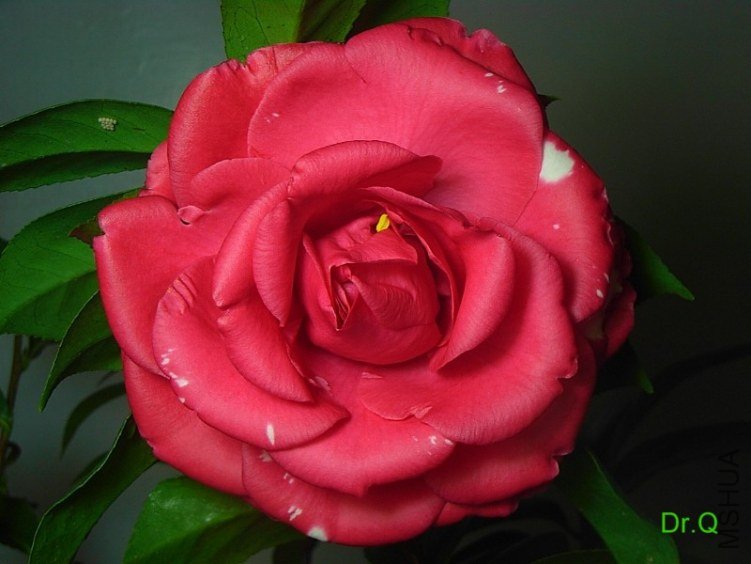 0226-5.JPG
