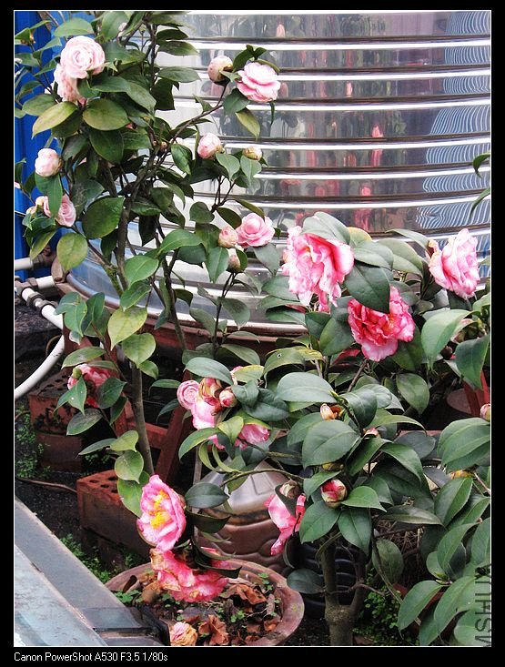 nEO_IMG_��ת ��Ƭ 039.jpg