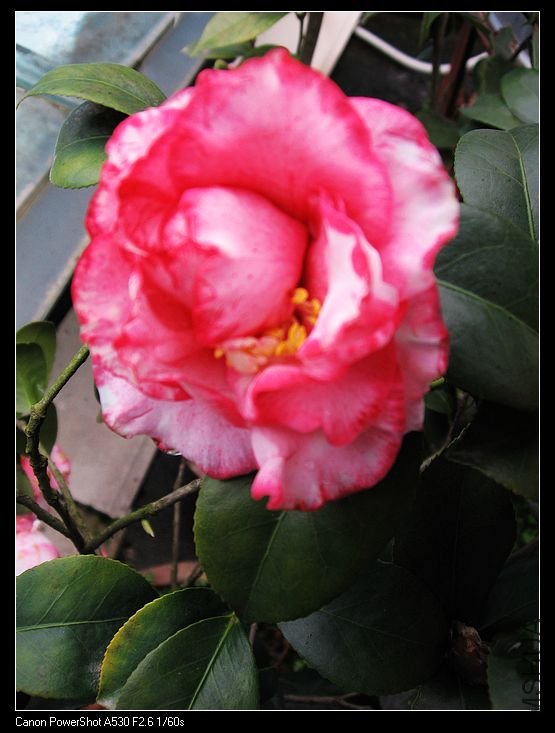 nEO_IMG_��ת ��Ƭ 038.jpg