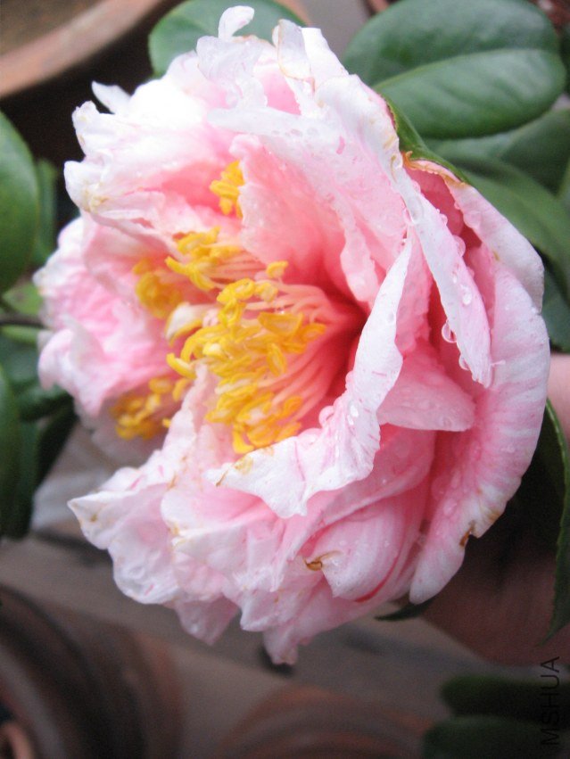 ��ת ��Ƭ 023.jpg