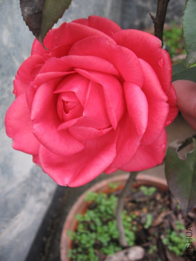 ��ת ��Ƭ 037.jpg