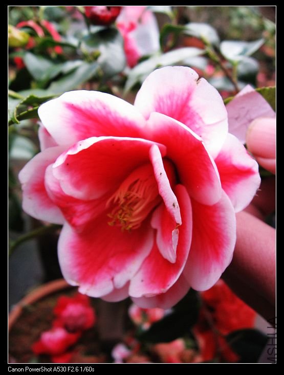 nEO_IMG_��ת ��Ƭ 042.jpg