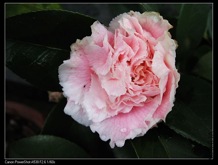 nEO_IMG_��Ƭ 048.jpg