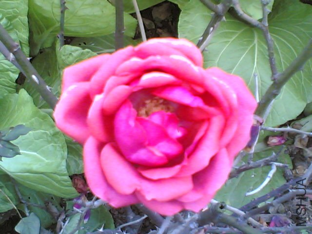 20120224(001).jpg