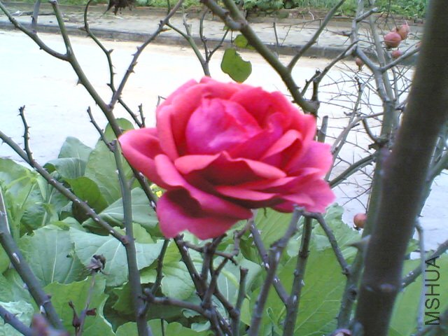 20120224(005).jpg