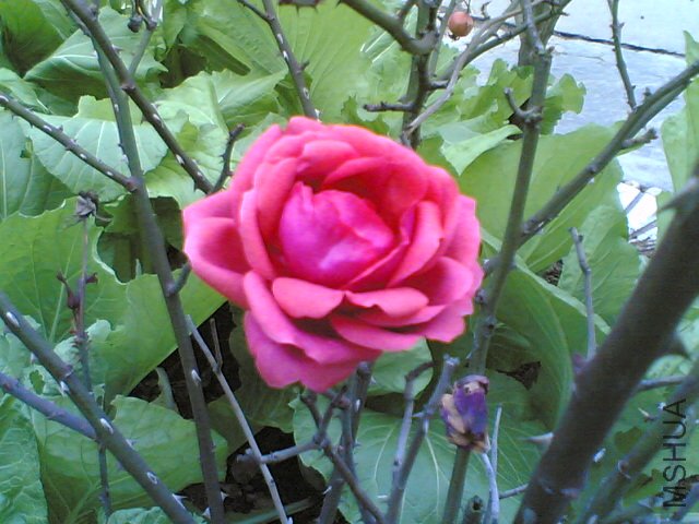 20120224(006).jpg