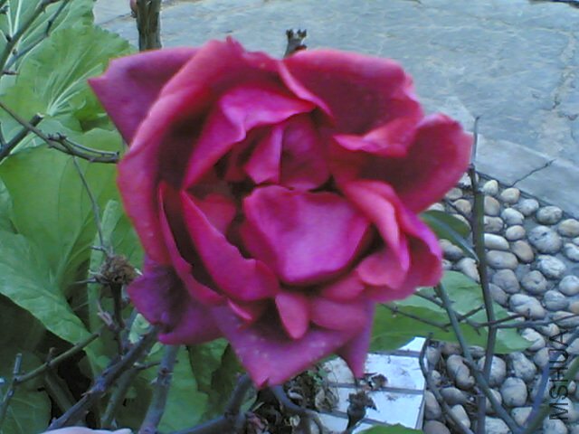 20120224(003).jpg