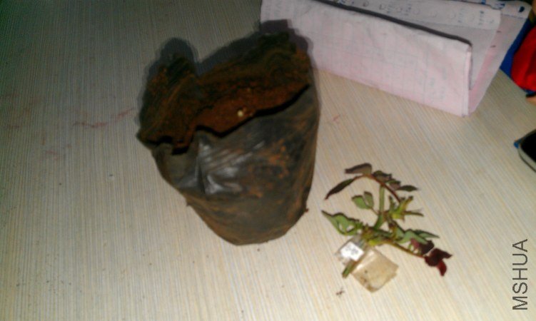 IMAG0243.jpg