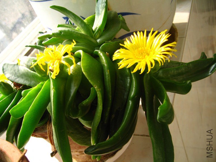 �ֹ��ε�1 010_����.jpg