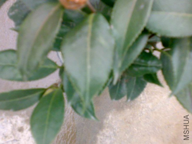 20120225478.jpg