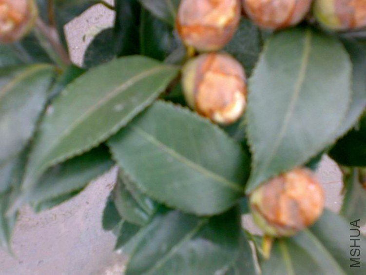 20120225479.jpg