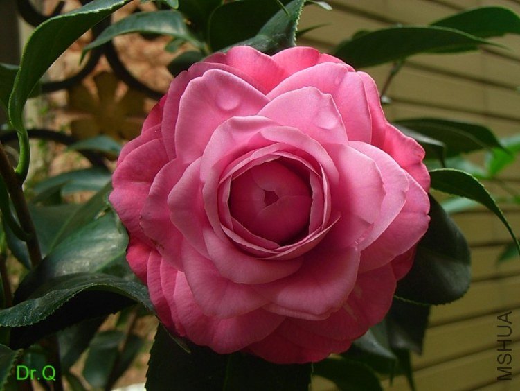 0227-a.JPG